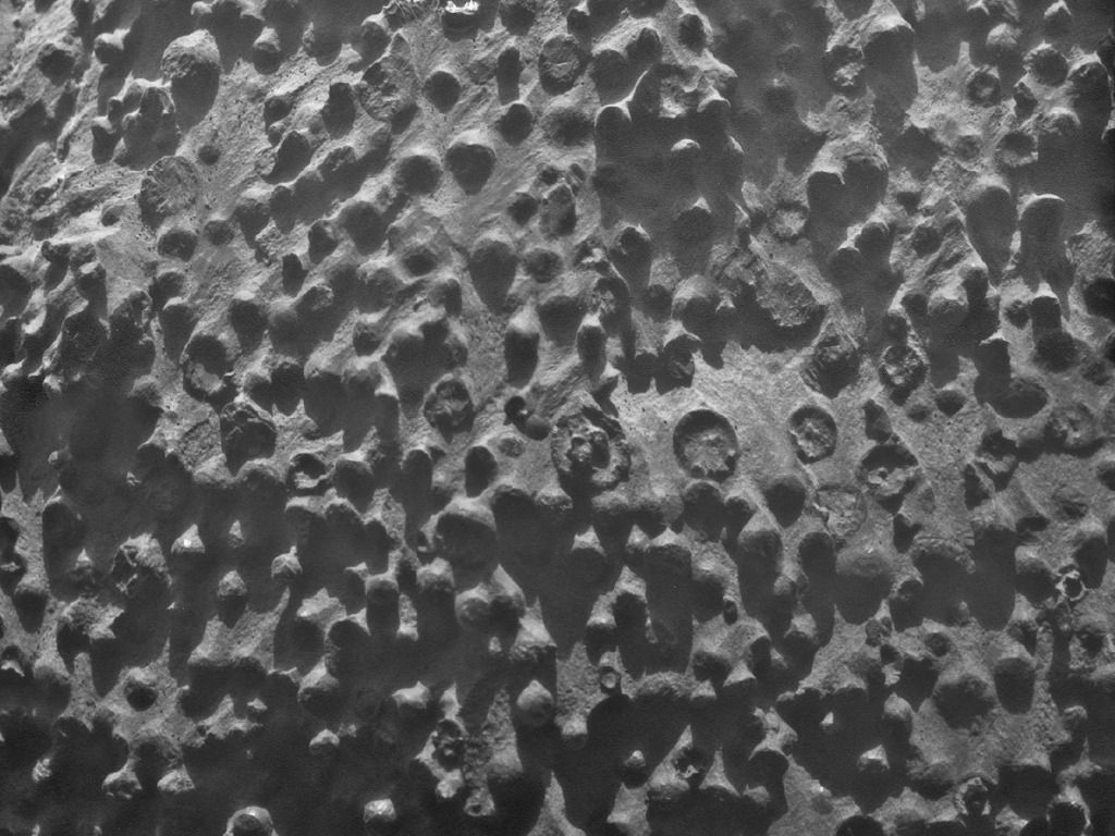 mars-spherules-opportunity1.jpg