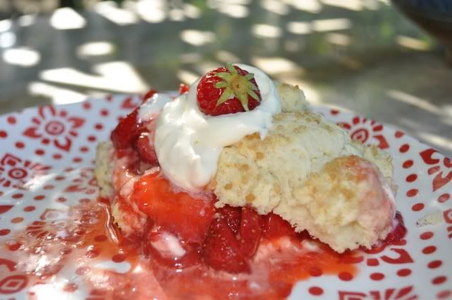 strawberry shortcake for breakfast with the sun filtering through the trees, is there anything better?! Pictures, Images and Photos