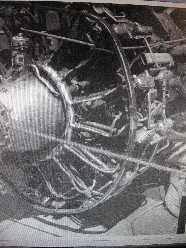 009-57.jpg