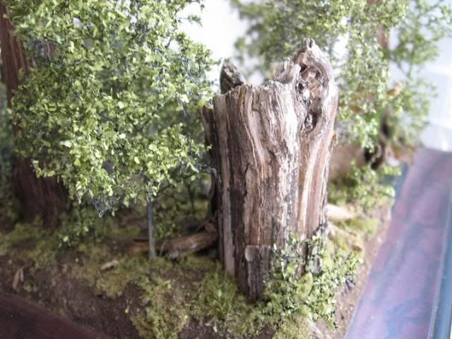 043.jpg