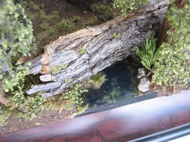 054.jpg