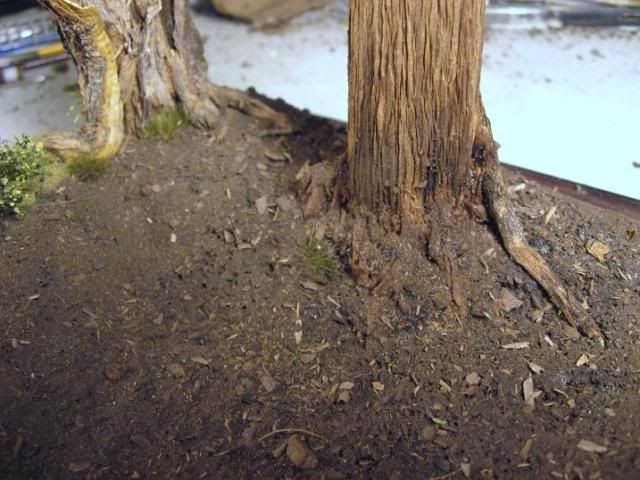 057.jpg