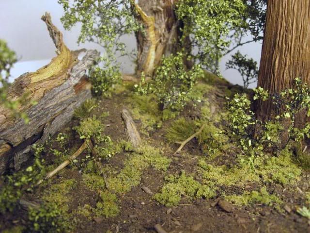 076.jpg