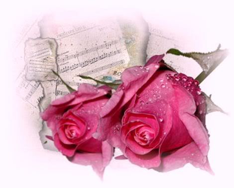 2v9b52w.jpg rosas image by carmenldh
