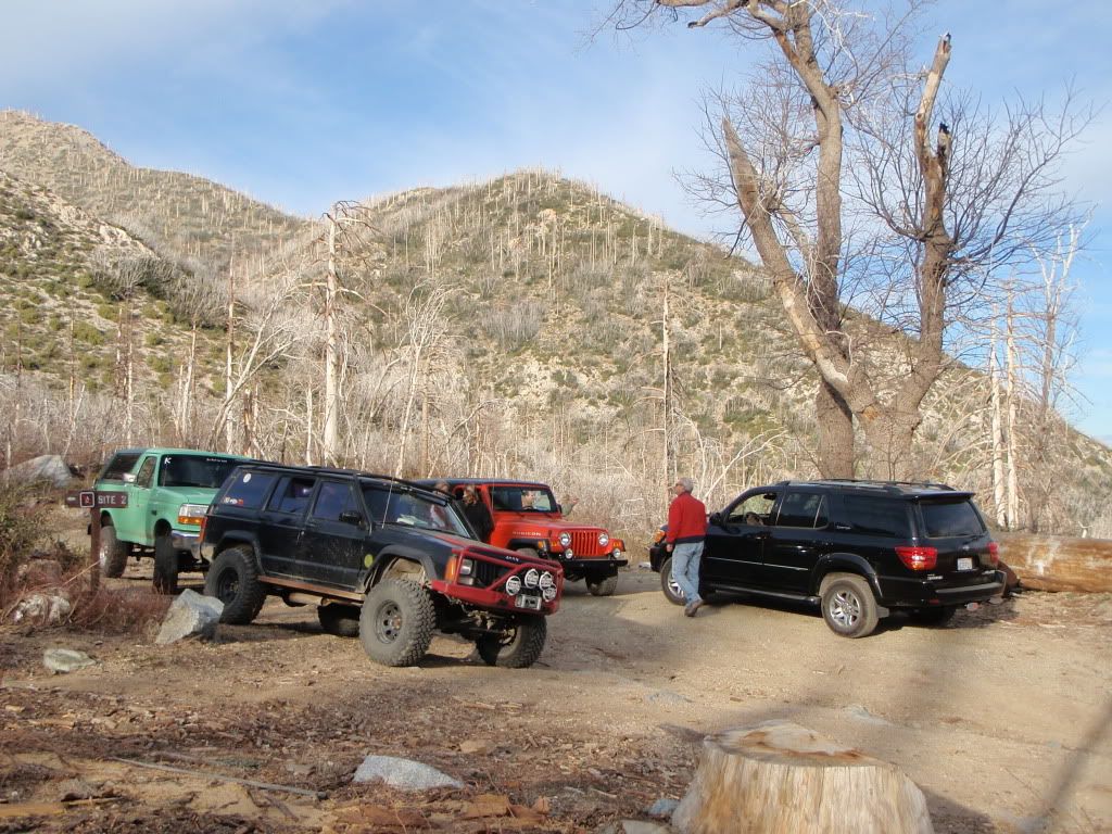Big Tree Trail Big Tree Trail