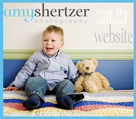 Visit the Amy Shertzer Photography Official Website