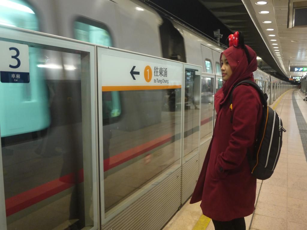 photo P1130833_zps2d60b51d.jpg