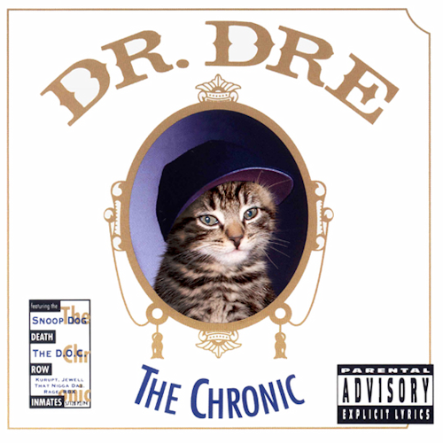 classicalbumcovers_withkittens_drdre_2012