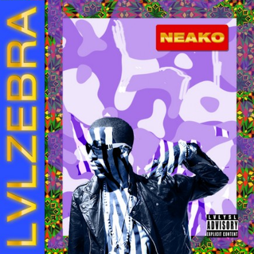 neako_lvlzebra_2012