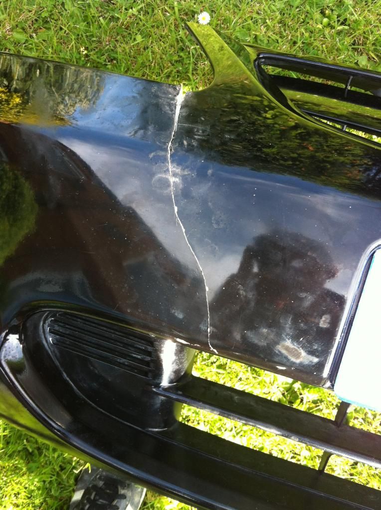 Tiger Seal ? Detailing World Forum