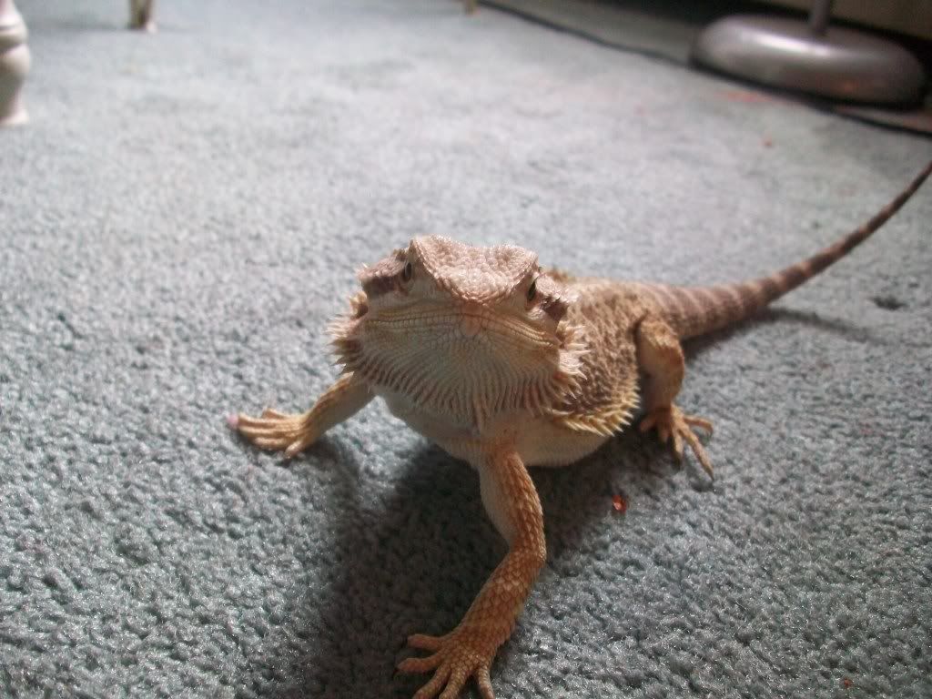 JackiesPictures010.jpg
