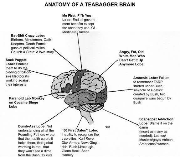 Teabagger Brain