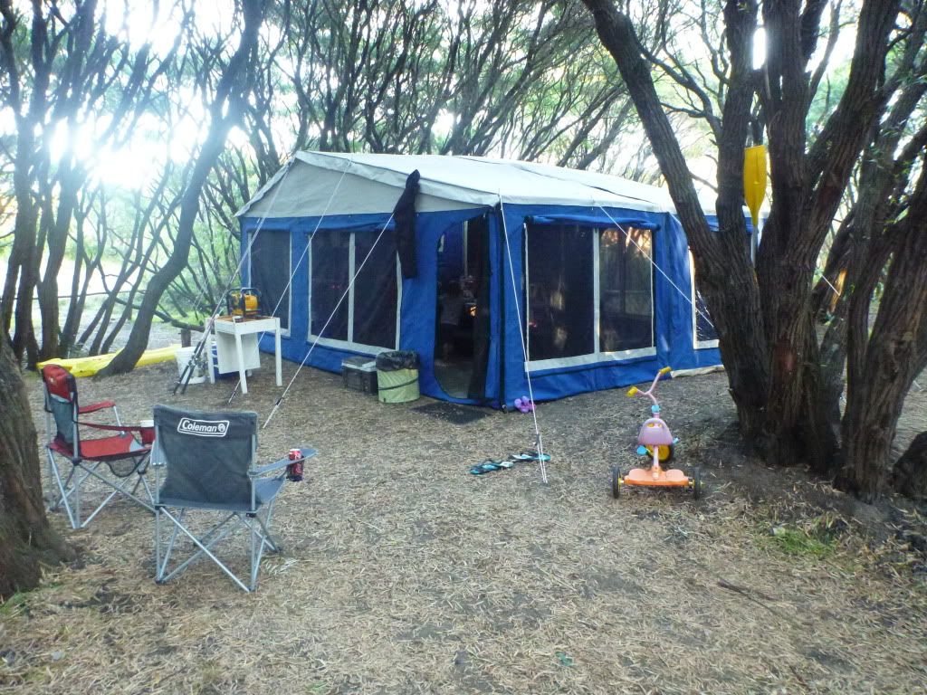 P1000217.jpg 