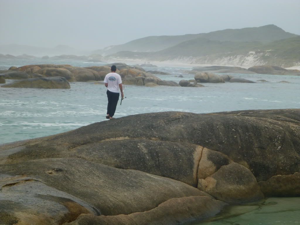 P1000217.jpg 