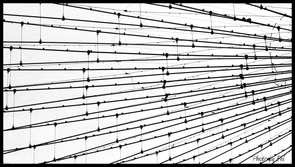 【相机人生】（189）带音符的黑白线条_图1-5