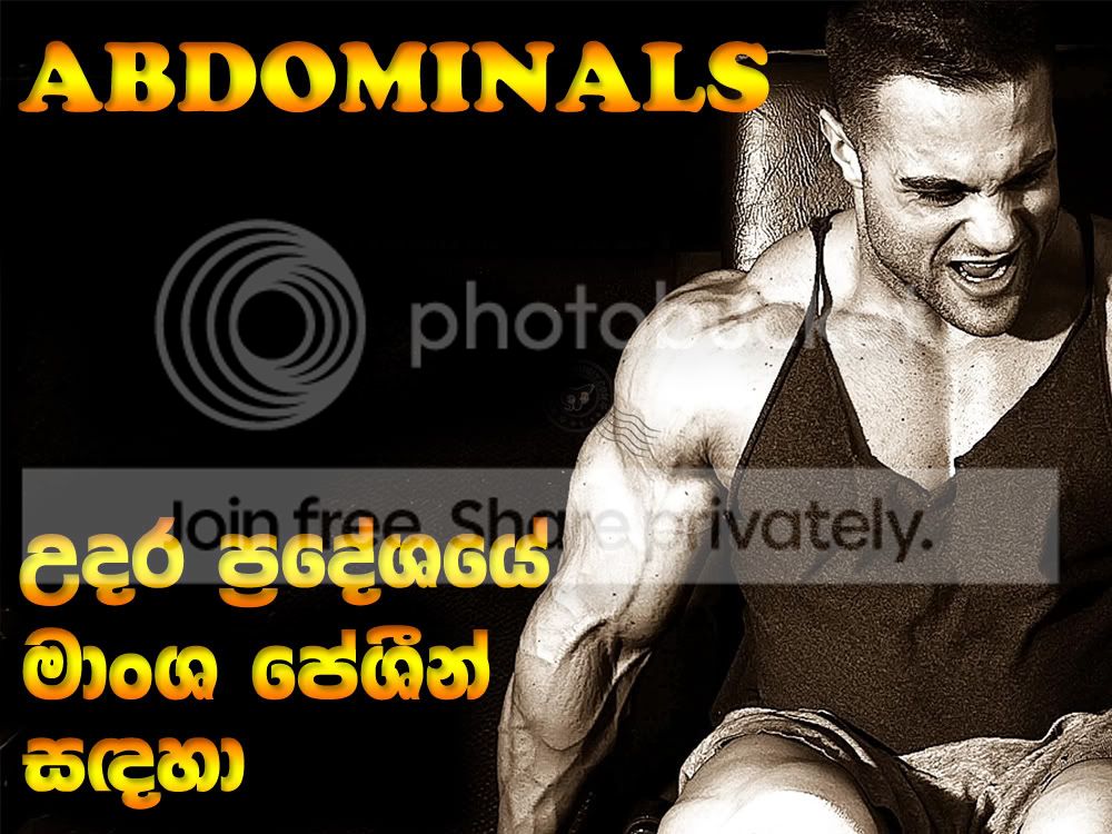 ABDOMINALS-COVER.jpg