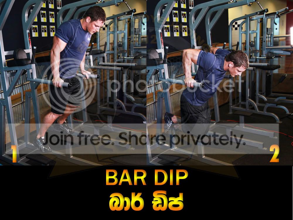 BAR-DIP.jpg