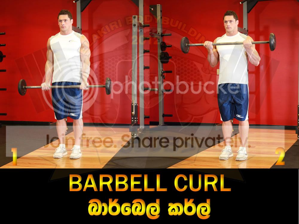 BARBELL-CURL.jpg
