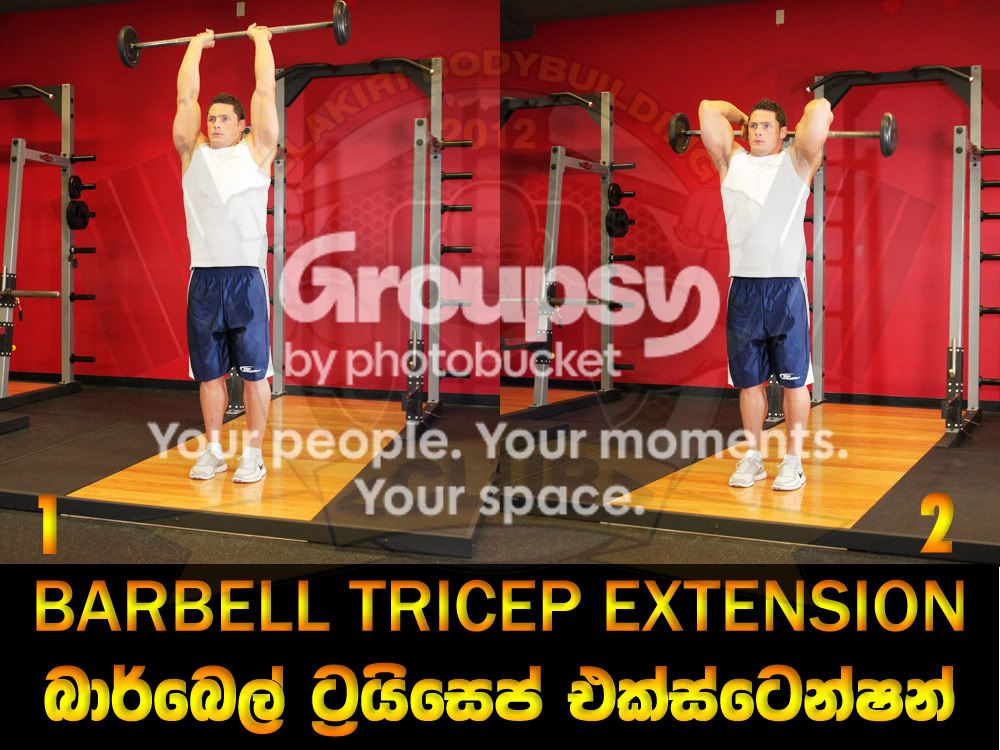 BARBELL-TRICEP-EXTENSION.jpg