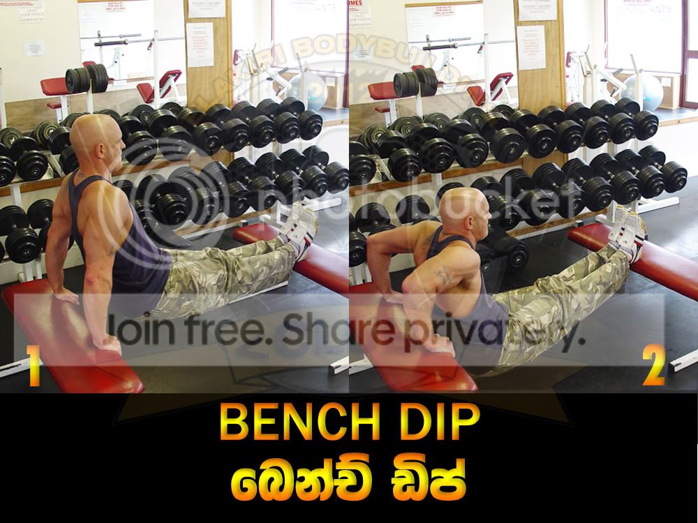 BENCH-DIP.jpg
