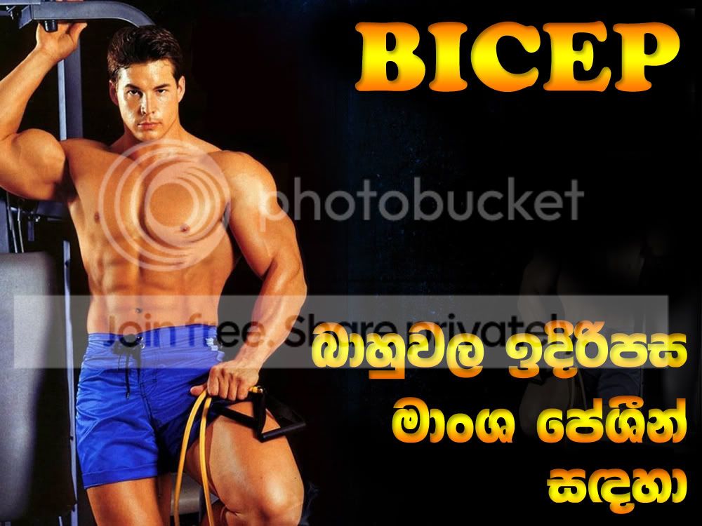 BICEP-1.jpg