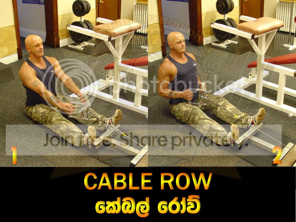 CABLE-ROW.jpg