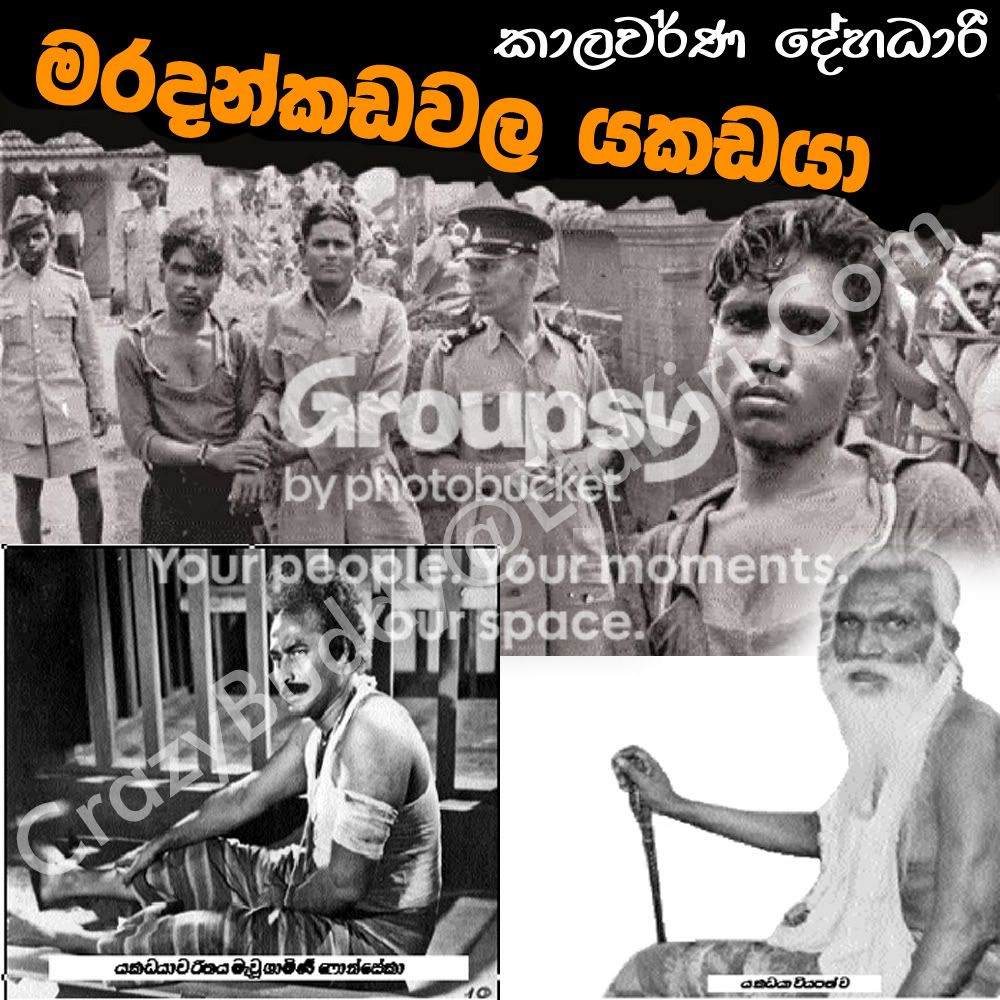 Cover-06.jpg