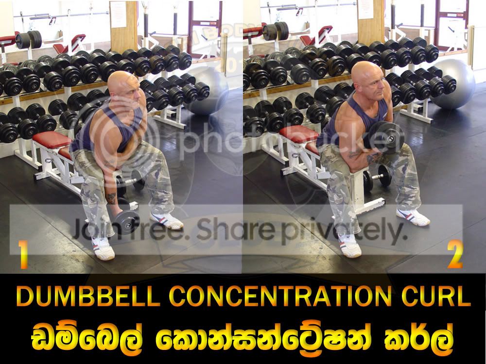 DUMBBELL-CONCENTRATION-CURL.jpg