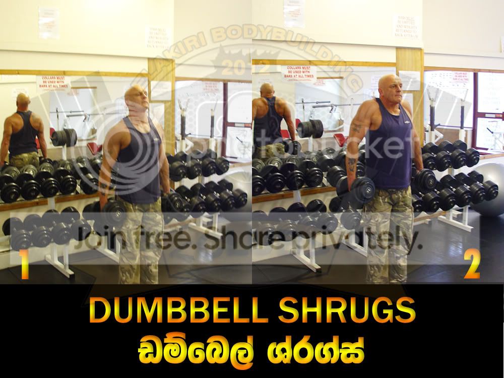 DUMBBELL-SHRUGS.jpg