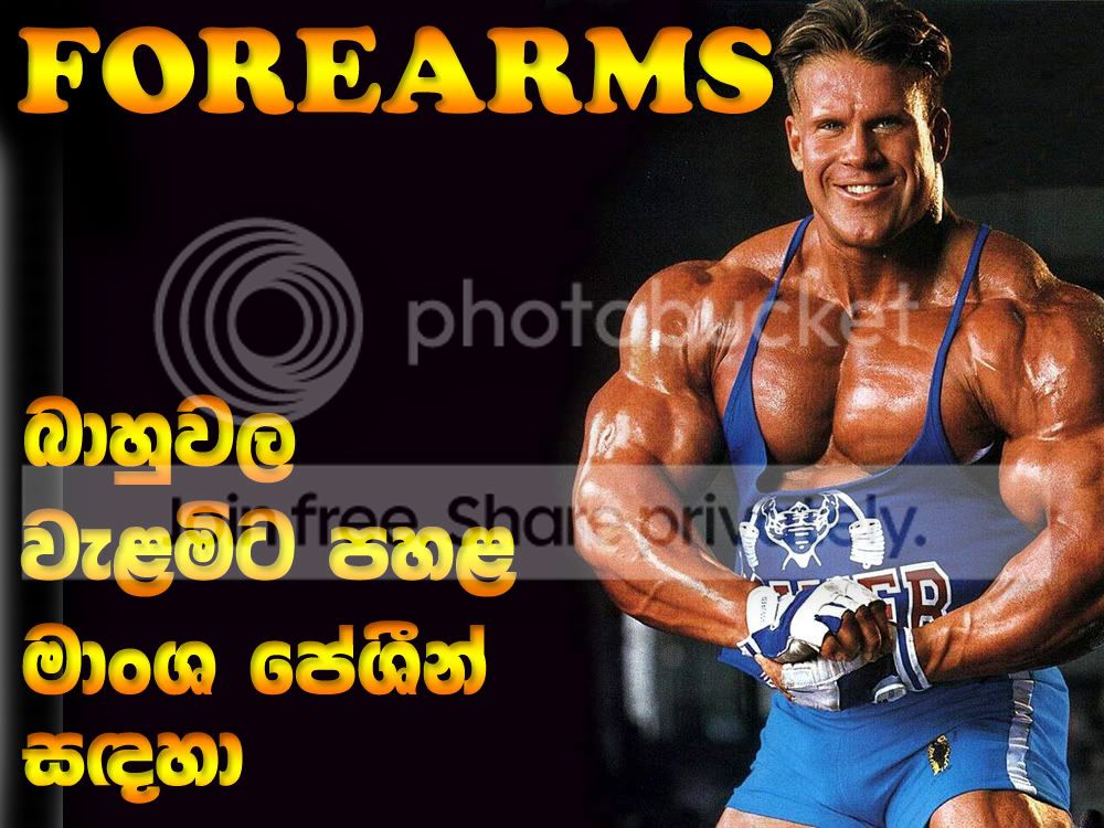 FOREARMS-COVER.jpg