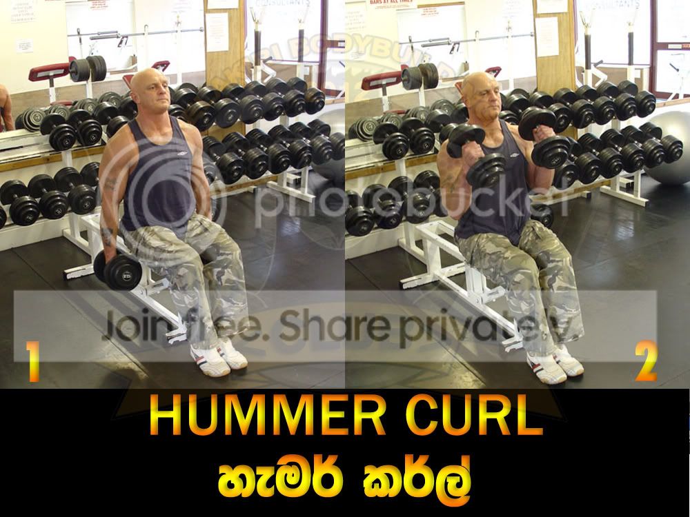 HAMMER-CURL.jpg