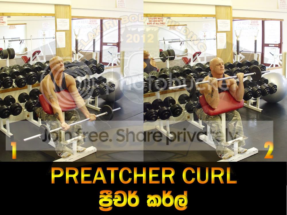 PREATCHER-CURL.jpg