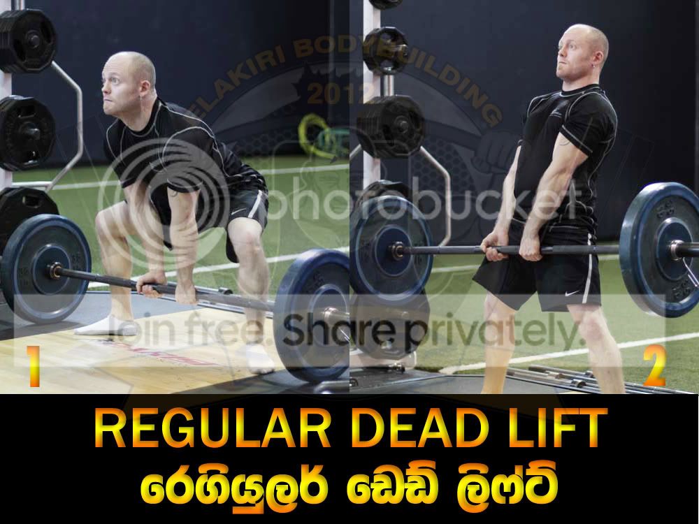 REGULAR-DEAD-LIFT.jpg