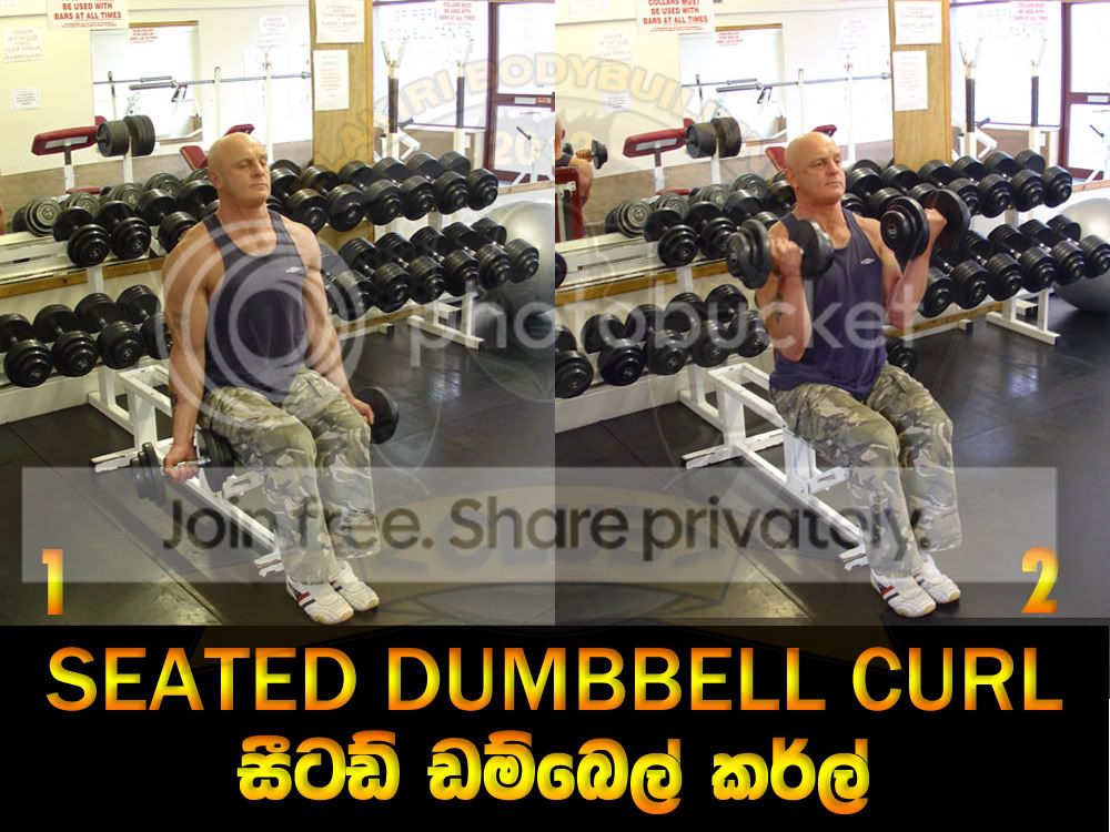 SEATED-DUMBBELL-CURL.jpg