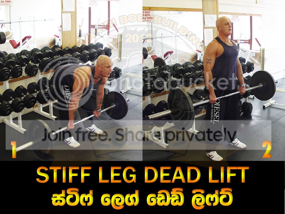 STIFF-LEG-DEAD-LIFT.jpg