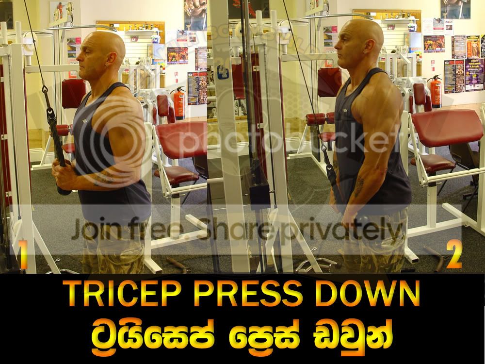 TRICEP-PRESS-DOWN.jpg