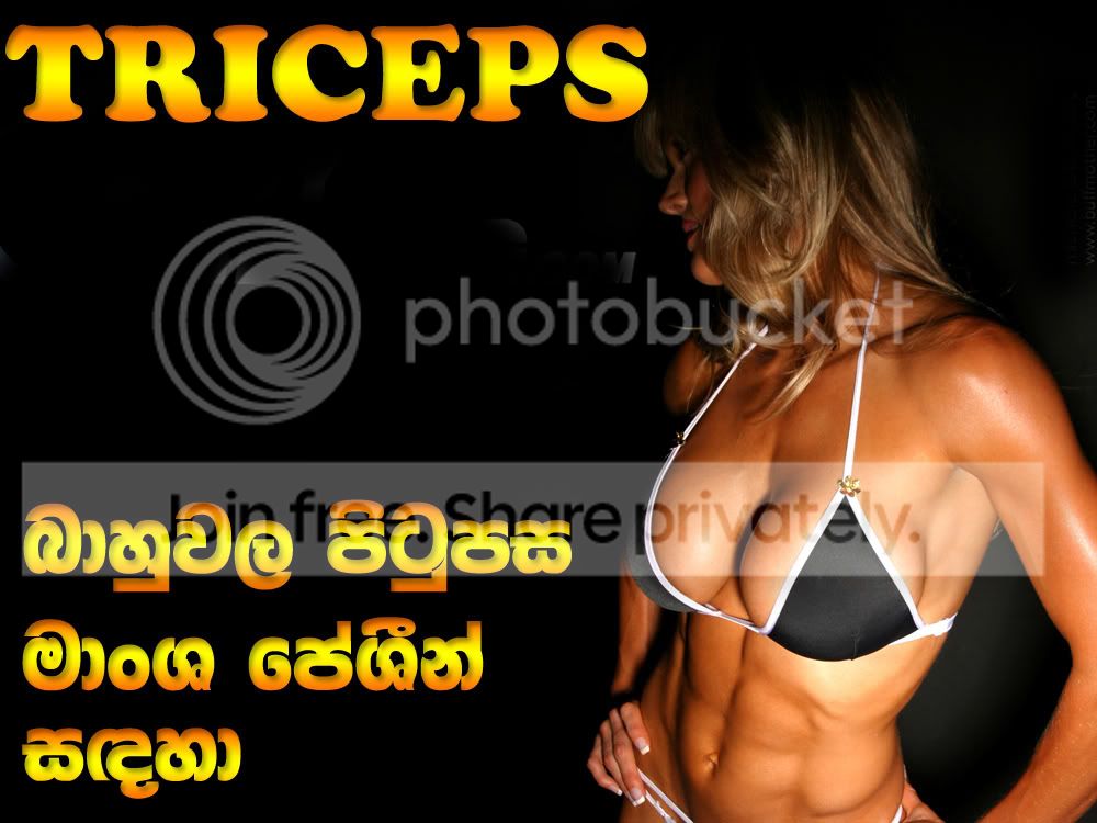 TRICEPS-COVER.jpg