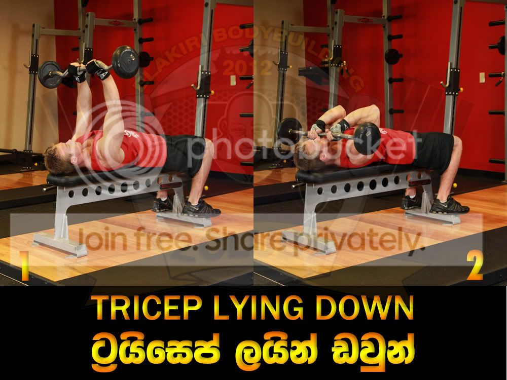 TRICEPS-LYNE-DOWN.jpg