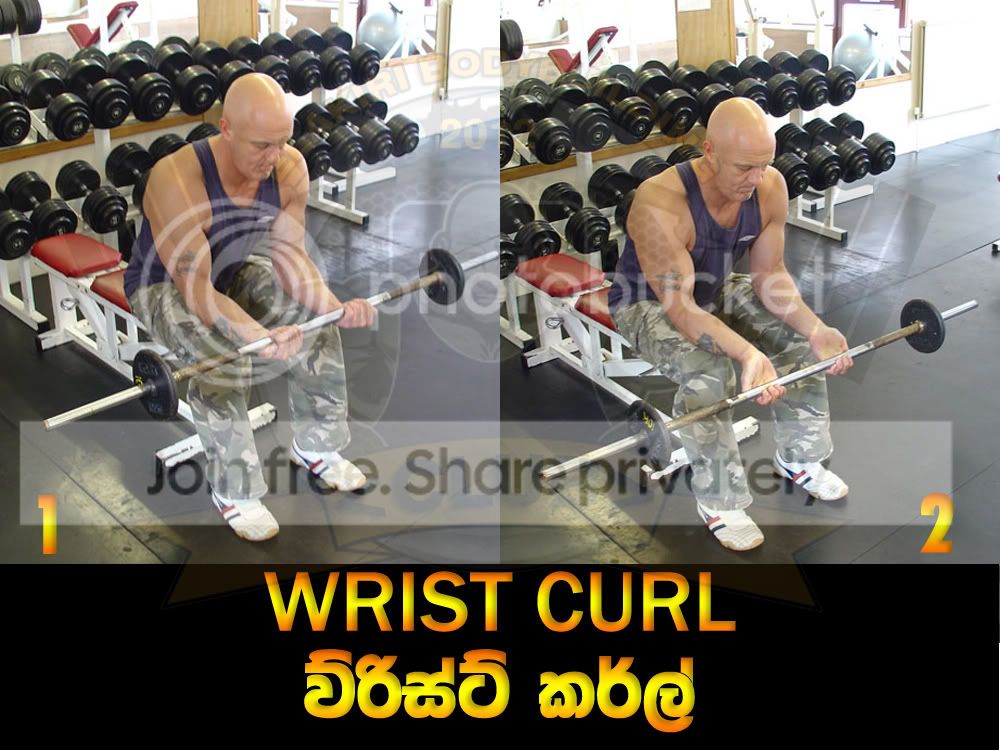 WRIST-CURL.jpg