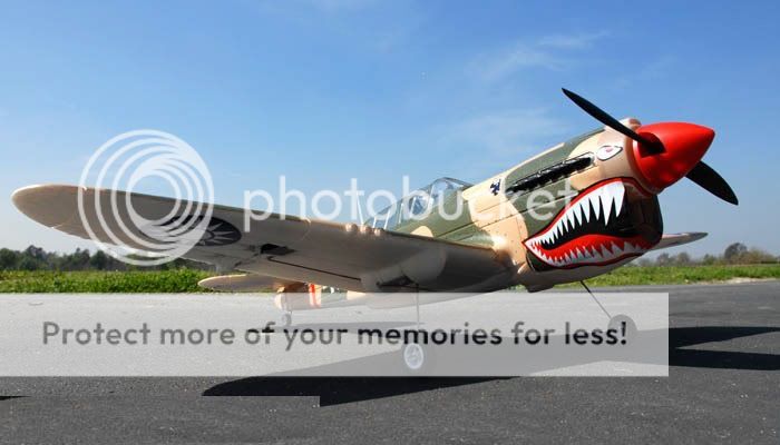 P40 Warhawk RC RTF 2.4Ghz Radio Brushless Motor  